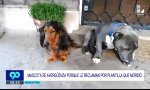 Funny Video : Buddies wie Pech und Schwefel