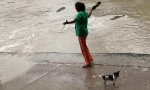 Lustiges Video : Das ist mein Hund!
