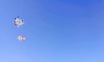 Lustiges Video : Fleischfressende Objekte am Himmel