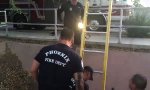Lustiges Video - Zu Hilfe gequakt