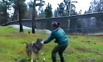 Movie : Alpha-Bitch im Wolfsrudel