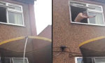 Funny Video : Kopfsprung vom Fenster auf’s Trampolin