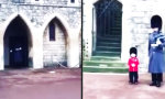 Funny Video : Der kleine Wachtposten