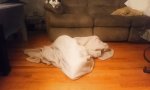 Lustiges Video - Der Geist im Wohnzimmer