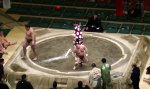 Funny Video - Der Sumo und der Ellbogen