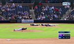 Funny Video : Killerbienenschwarm beim Baseball