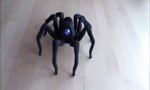Movie : Robo-Spinne tanzt Mambo