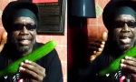 Lustiges Video : Jamaika Gurken Rap