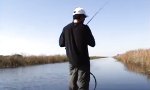 Lustiges Video - Fischers Fritze