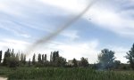 Funny Video - Insekten-Tornado