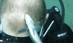 Funny Video : Neues Mittel gegen Schuppen
