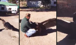 Funny Video : Kondor bedankt sich bei seinem Retter