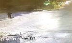Lustiges Video - Tollwut, nicht mit mir!