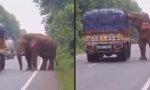 Lustiges Video : Foodtruck Überraschung