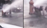 Funny Video : Abkühlung am Straßenrand