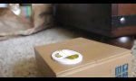 Funny Video : Was... zur... Hölle...