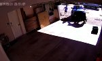 Muss...Müll...vor Bären schützen