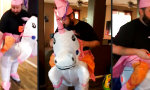 Funny Video : Mein Papa ist ein Einhorn
