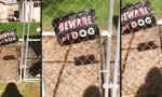 Lustiges Video : Nimm dich vor dem Kampfhund in acht!