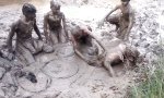 Movie : Den Kopf in den Schlamm stecken
