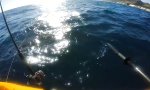 Funny Video - Ungebetener Besuch beim Kajak-Fischen