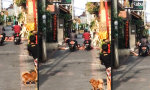 Funny Video : Heute bin ich eine Straßensperre