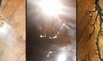 Lustiges Video - Fraktale Holzmalerei mit 1400 Volt