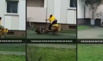Funny Video - Briefträger des Jahres