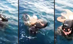 Funny Video : Oktopus will ihn nicht gehen lassen