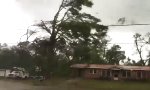Lustiges Video : Alexa, wie wird das Wetter?
