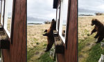 Massage-Hütte in der Wildnis