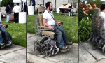 Funny Video - They see me crawling...