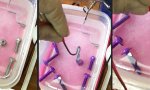 Lustiges Video : Schrauben färben