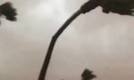 Funny Video : Der Sturm gewinnt