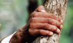 Lustiges Video : Und stetig fällt der Felsen