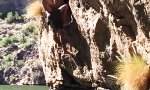 Movie : Anwärter für den Darwin Award
