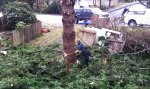 Lustiges Video : Wir fällen einen Baum