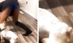 Movie : Twerking-Tips von Claudia