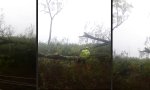 Lustiges Video - Hochspannungs-Schleuder