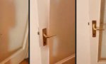 Funny Video : Die manische Hexe in der Tür