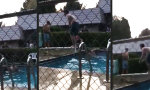 Backflip vom 1er