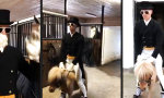 Funny Video : Wilder Ritt auf dem Pony