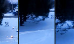 Movie : Weihnachtsbeleuchtung wider Willen?