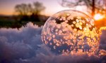 Movie : Weihnachtsbaumkugeln by Väterchen Frost