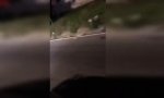Funny Video : Straßenverkehr in Venezuela