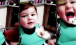 Funny Video : Mini Food Ninja