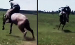 Movie : Der Rodeo-Ninja