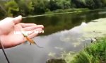 Funny Video : Entspannt angeln in Russland