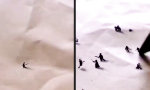 Funny Video - Papierkrieg mal anders