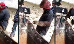 Lustiges Video : Verflixt nochmal
